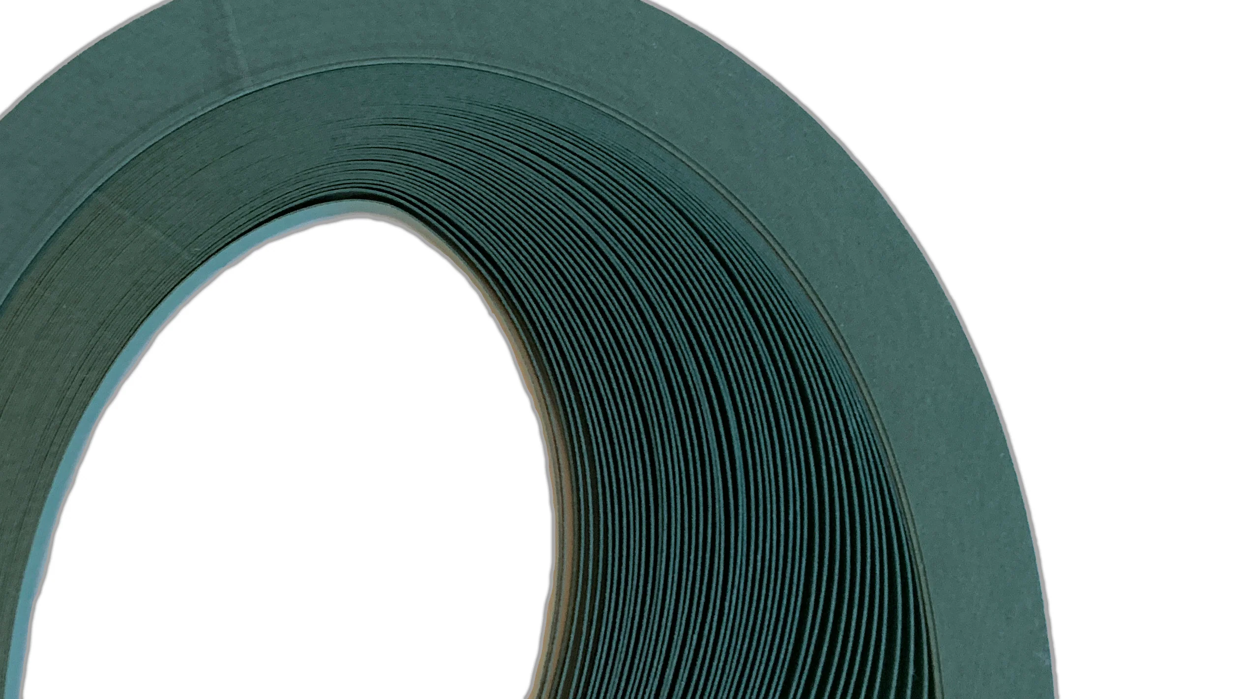 Entire Store on Sale